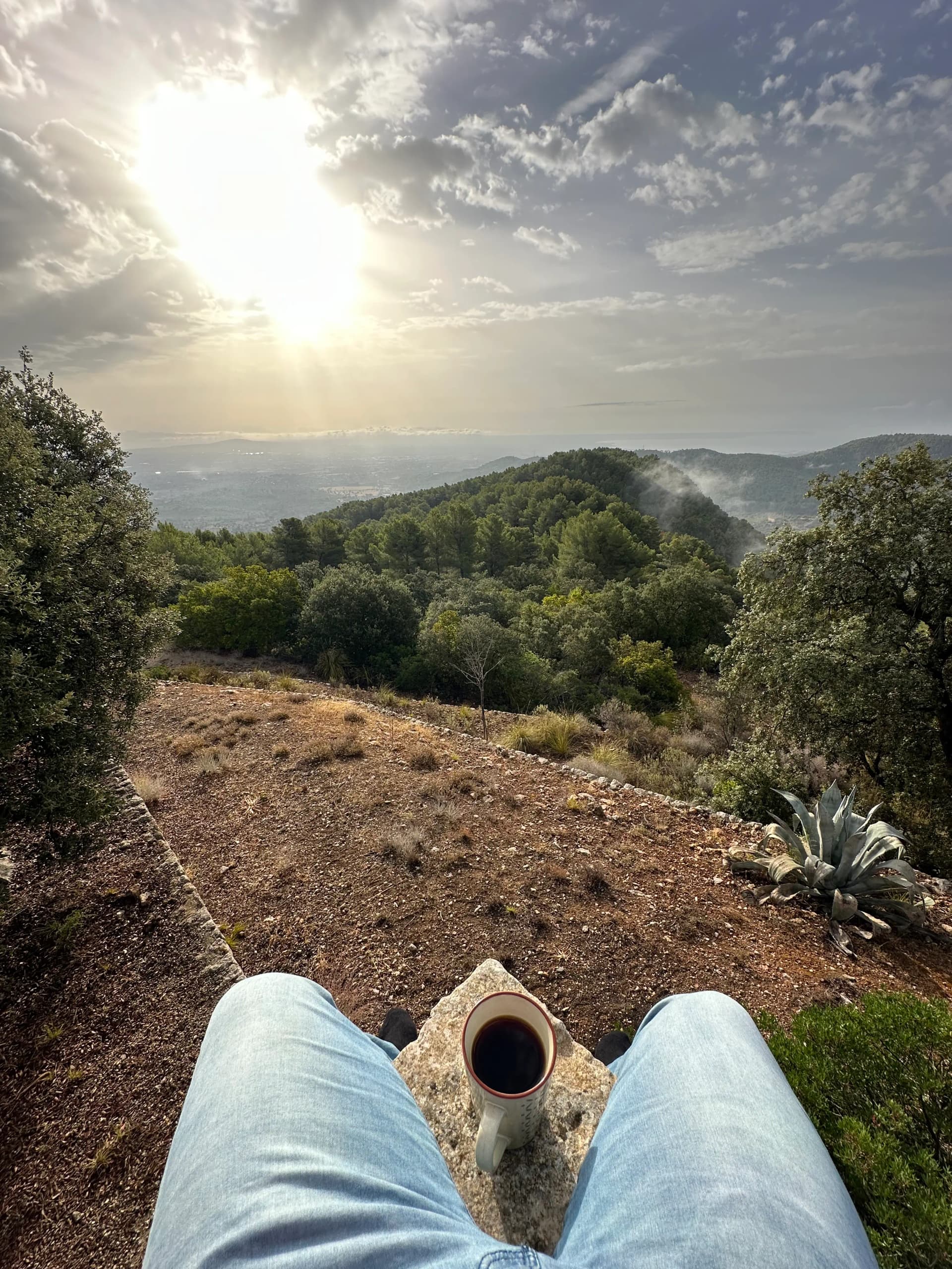 Mein Plan für die nächsten drei Jahre